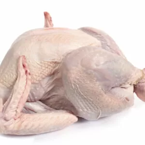 Raw turkey, side view